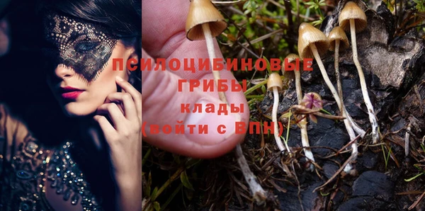 бошки Алзамай