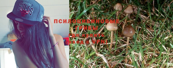 спиды Алексеевка