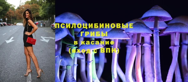 не бодяженный Алексин