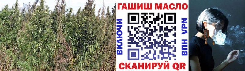 Дистиллят ТГК THC oil  blacksprut ONION  Усть-Илимск  сколько стоит 
