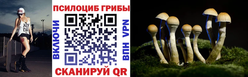 MEGA зеркало  Усть-Илимск  Псилоцибиновые грибы MAGIC MUSHROOMS 